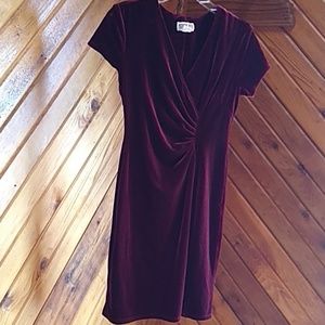 Velvet Dress